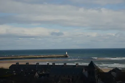 DSC_7233 (Large).JPG